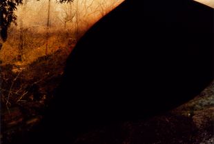 Untitled (0811-1) from the Constructed Landscapes series
