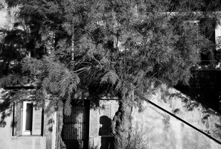Ithaca, Hellas, 2016