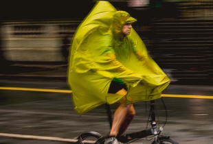 Big Bird Whizzing