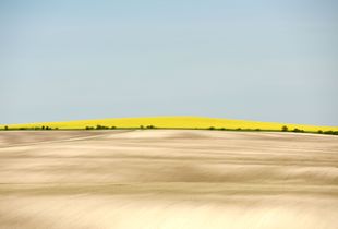 Terra Galicia