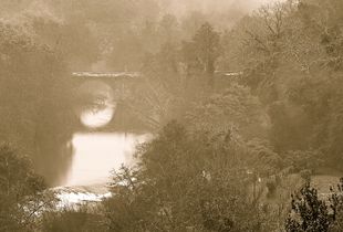 Ponte