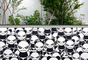 Angry Pandas, Aoyama, Tokyo