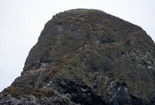 The Magical Society of Rocks #1