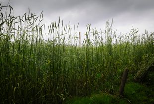 Starting a new story