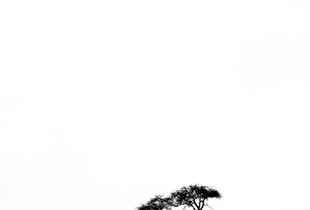 Winter 01