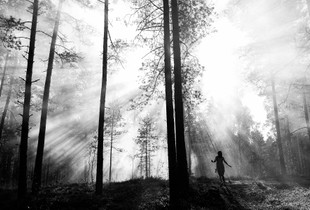 To the light