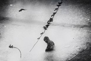 The storm in a little puddle