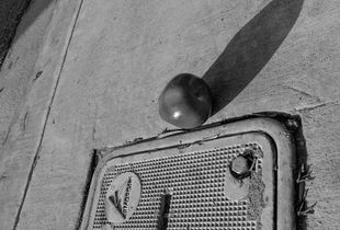 Apple on Alameda