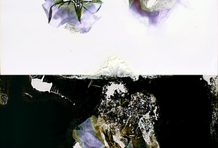 'Dust to dust' 1/16