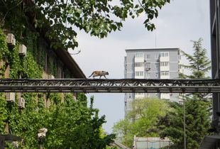 Beijing – Quiet Everyday Street Life