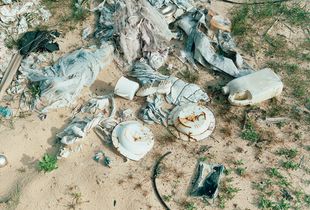 Afterlife VIII, Mullivaikkal, 2014, C-type print, 143cm x 116cm