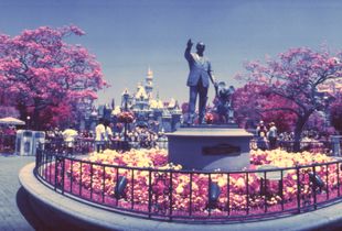Walt’s Magic Kingdom