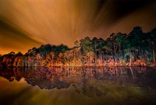 Mist Rays Crown Swamp