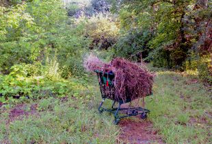 Food Basic Shopping Cart
