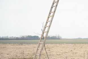 Sculpture