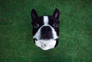Whatcha doin'?