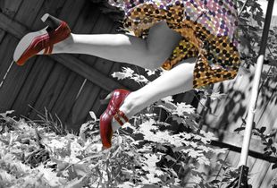 Whimsy