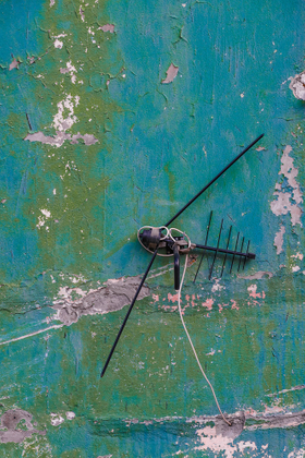 Insectification
