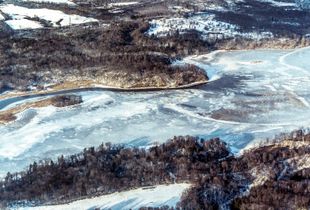 Cootes Paradise in Winter