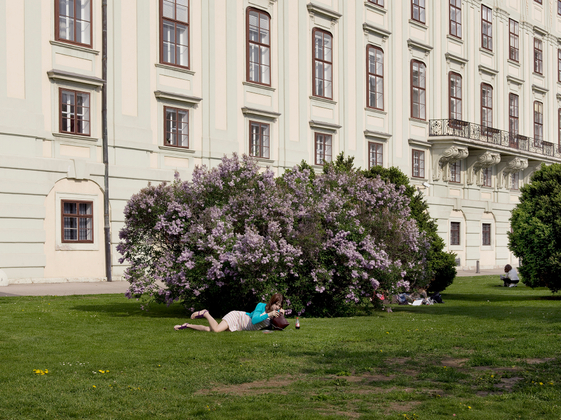 Our Nature Within the Limits of City Parks