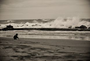 The waves of life