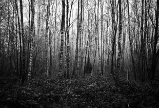 © Andreas Kaiser