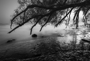 Slipping into dusk