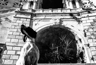 Il guardiano del Bastione
