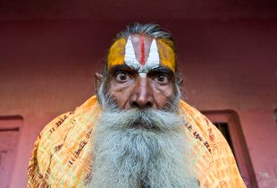 The Yogi