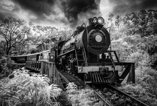 Trem das onze