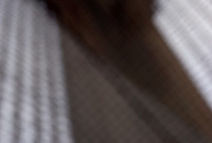 Web (3)
