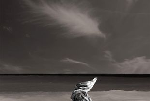 memory 1