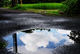 盆の入り