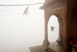 Varanasi massala 01