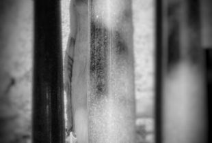 L'apparition - The appearance
