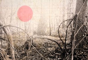 The Day The Earth Stood Still