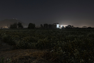 Yessica C. (Transgender, Survivor, 2010) - Tied, beaten, gang-raped by four men and sodomized with objects – she was left to die on farmland. Pisco, Ica, Peru, 2015