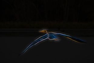 Flight