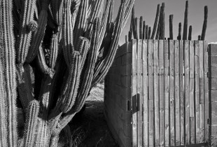 Gate, Santa Cruz, Aruba, 5 30 21, Photo by Joe Bruha