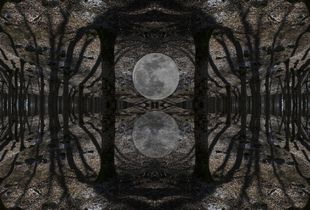 Parallel Universes#1