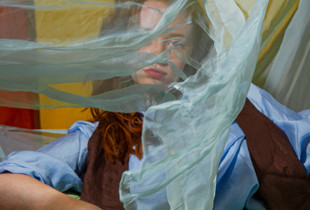 Veil
