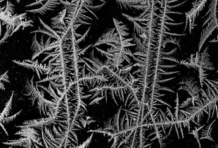 Tales of the frozen window 05