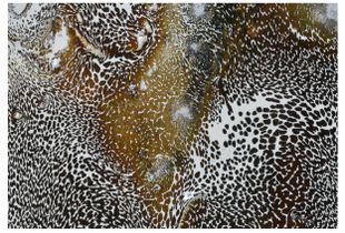 From the series The Impossibility of Abstraction