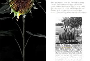 Dans les jardins d'hiver
