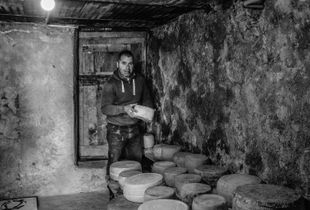 Cucca Vecchia