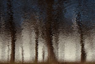 water reflections