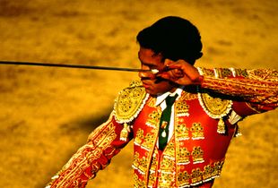 Matador, Plaza De Toros, "La Paloma"