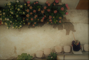 Elder woman and hydrangeas