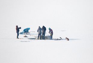 Ice fishing with dog