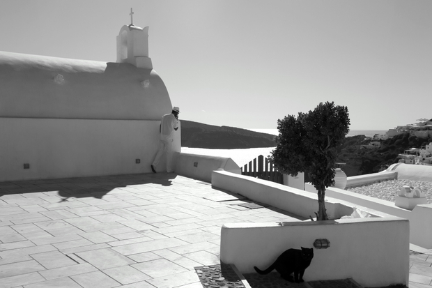 Man behind a church and black cat.